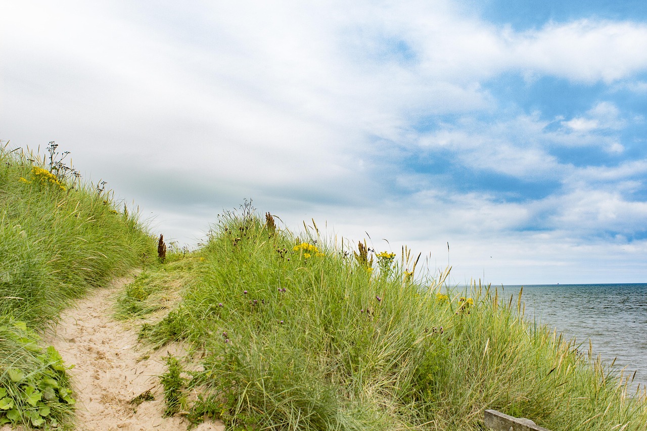 Aberdeen Castle and Coastal Adventure